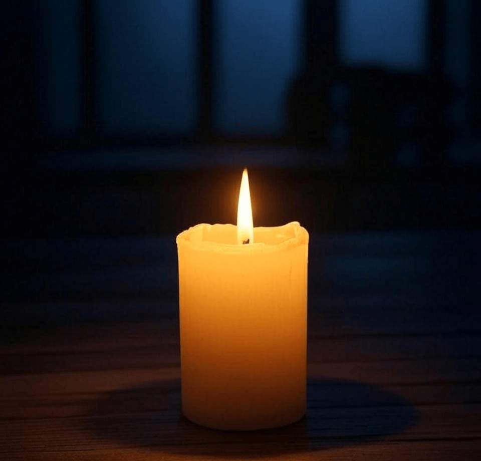 Professor William Logo